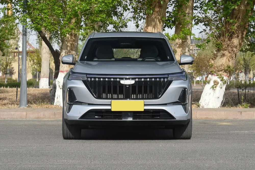 Vista 8 del vehículo: Geely Starray