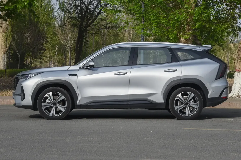 Vista 3 del vehículo: Geely Starray
