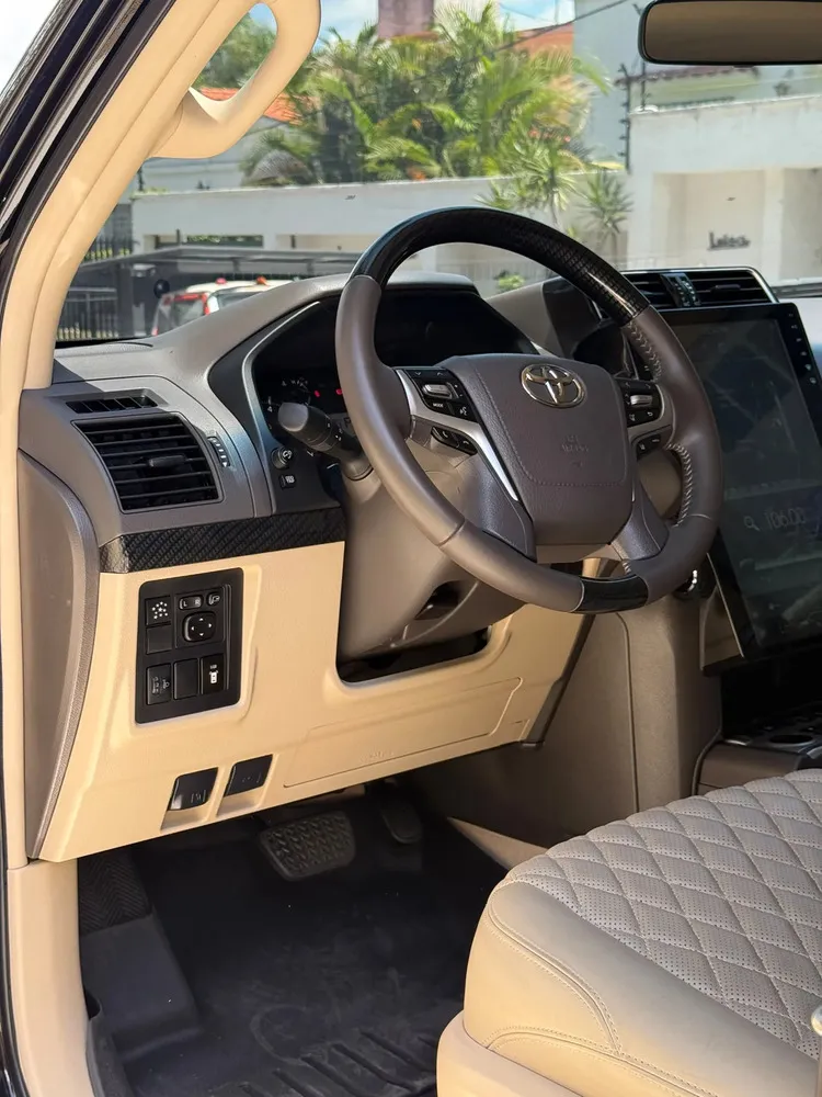 Vista 15 del vehículo: Toyota Land