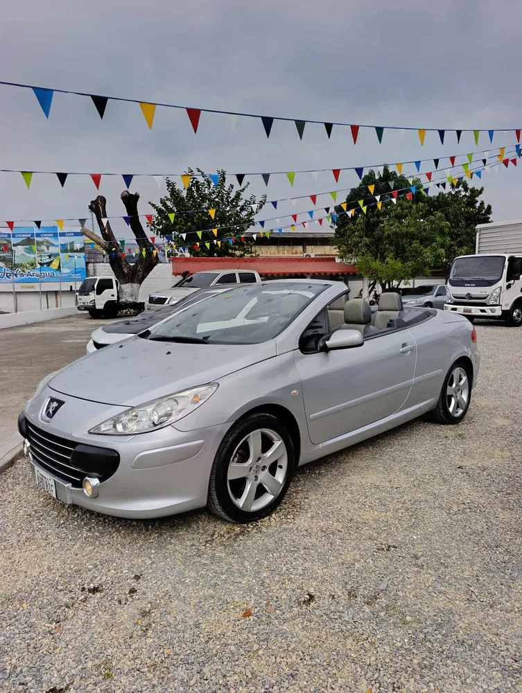 Vista 2 del vehículo: Peugeot 307