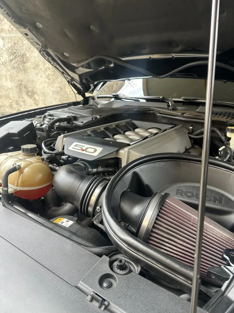 Vista 9 del vehículo: Mustang Gt
