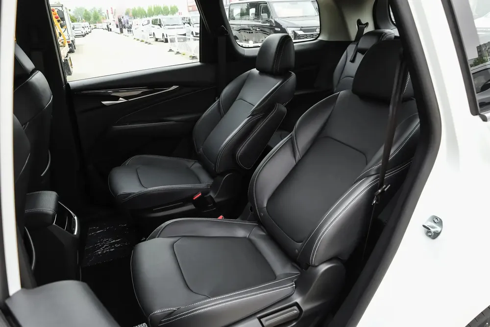 Vista 12 del vehículo: Maxus G50