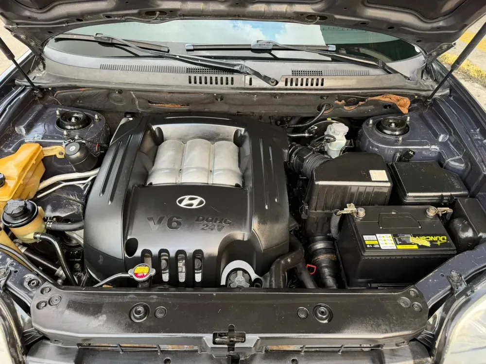 Vista 10 del vehículo: Hyundai Santa