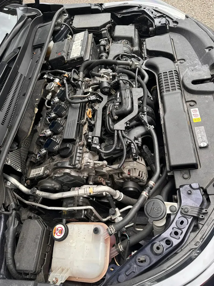 Vista 8 del vehículo: Corolla Se