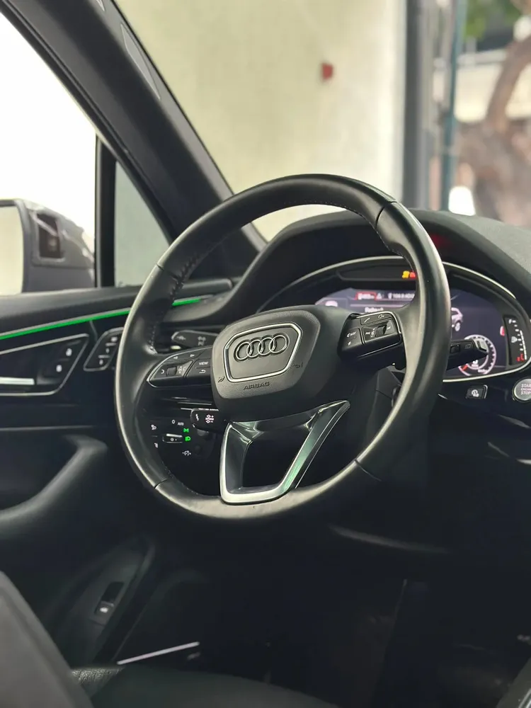 Vista 10 del vehículo: Audi Q7
