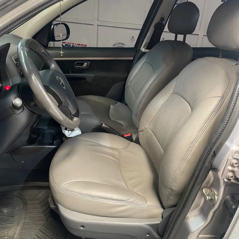Vista 7 del vehículo: Dodge Forza