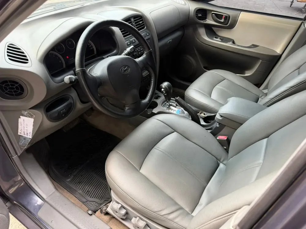 Vista 8 del vehículo: Hyundai Santa