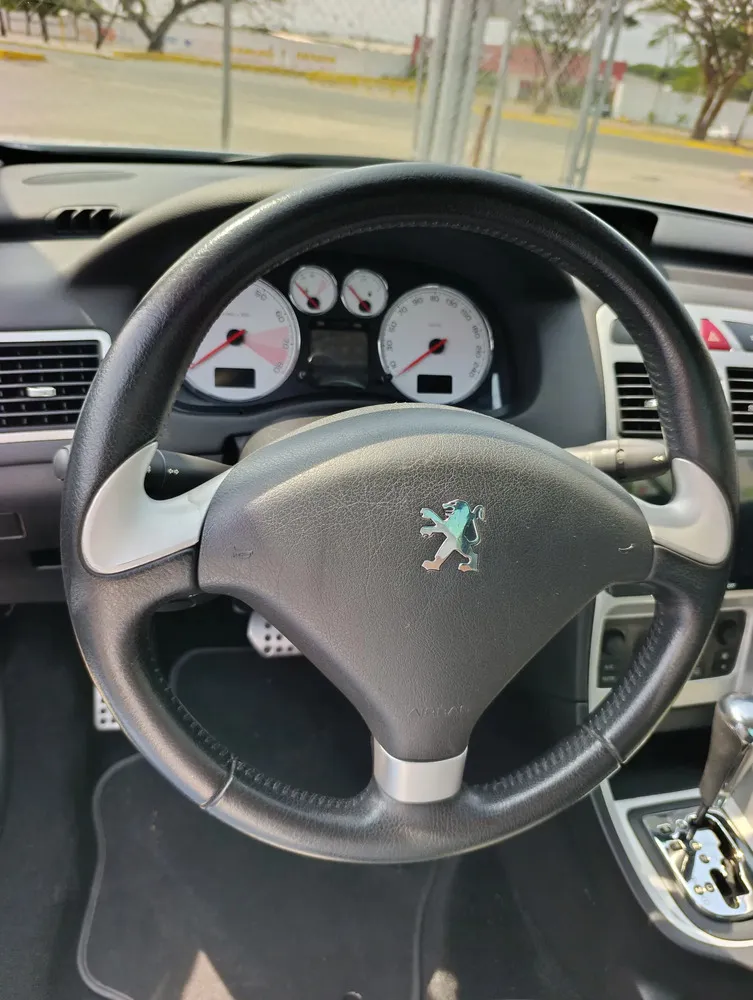 Vista 8 del vehículo: Peugeot 307