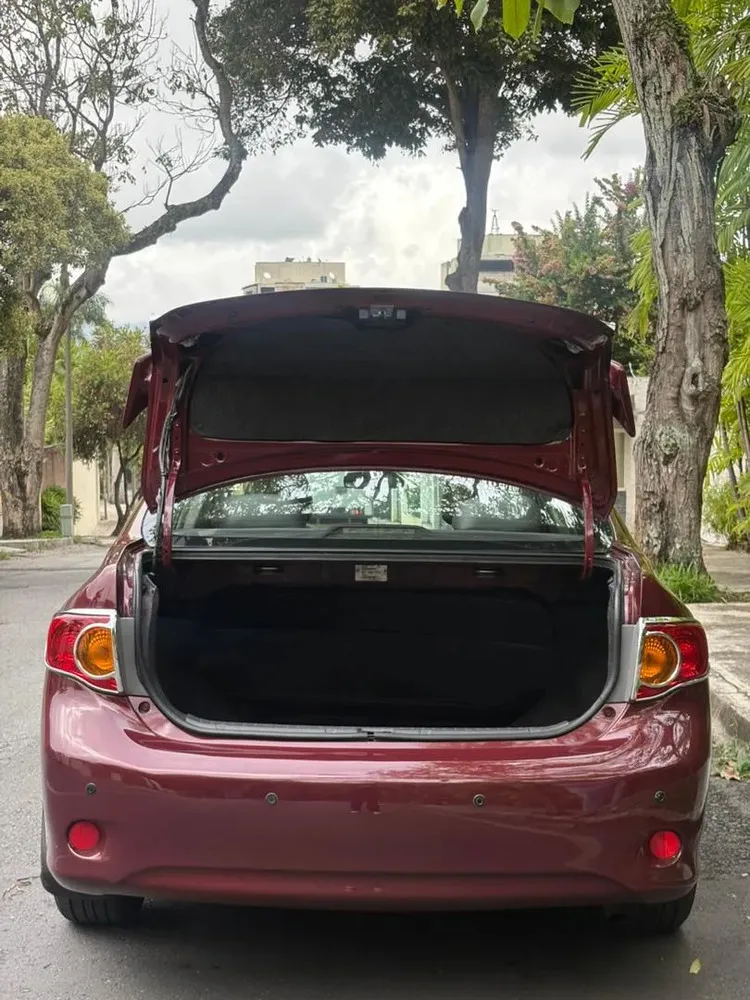 Vista 8 del vehículo: Toyota Corolla