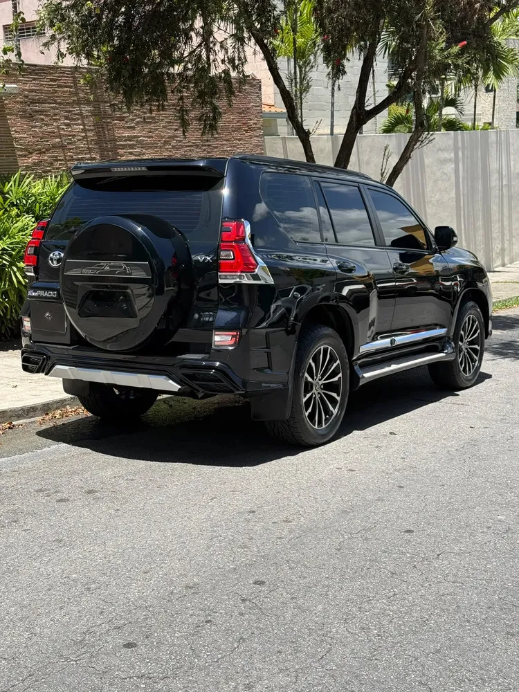 Vista 14 del vehículo: Toyota Land