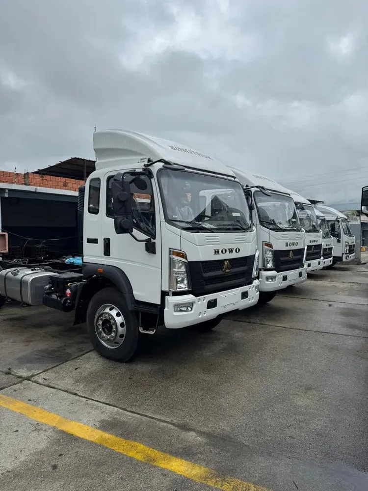 Vista 11 del vehículo: Sinotruck Howo