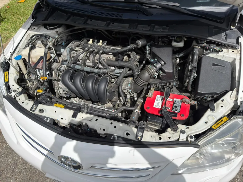 Vista 11 del vehículo: Toyota Corolla