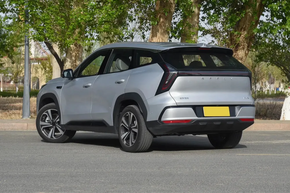 Vista 4 del vehículo: Geely Starray