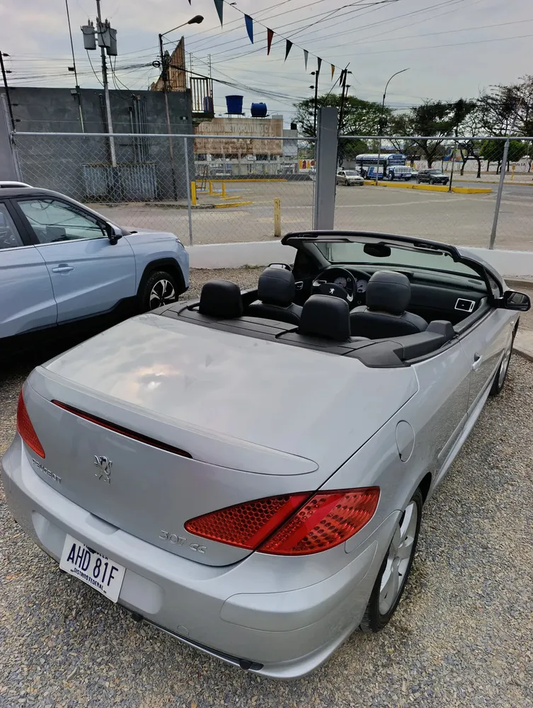 Vista 7 del vehículo: Peugeot 307