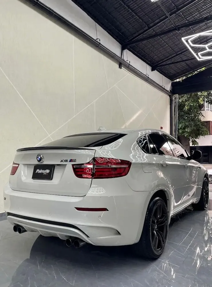 Vista 7 del vehículo: Bmw X6