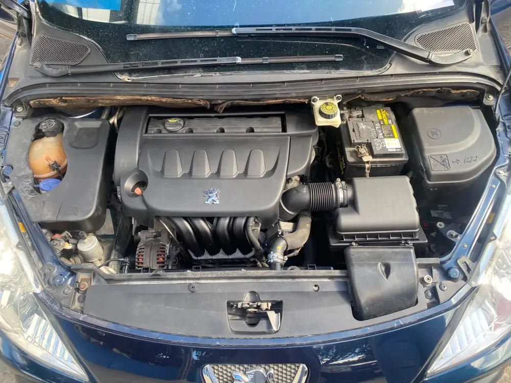 Vista 8 del vehículo: Peugeot 307