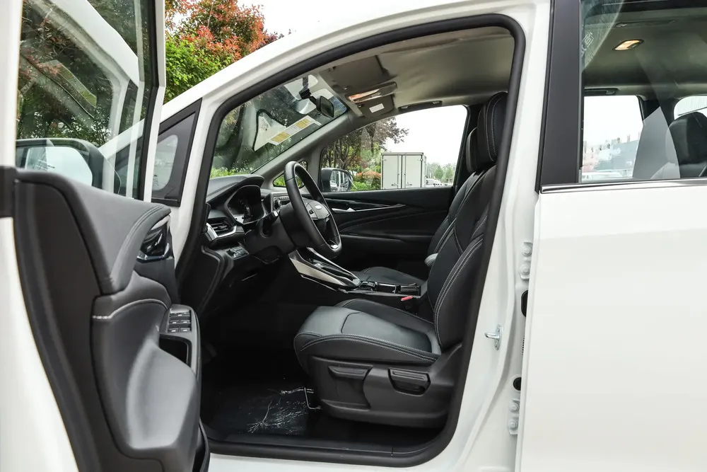 Vista 11 del vehículo: Maxus G50
