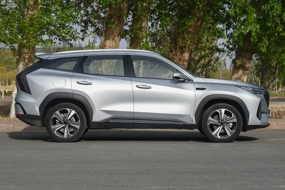 Vista 7 del vehículo: Geely Starray