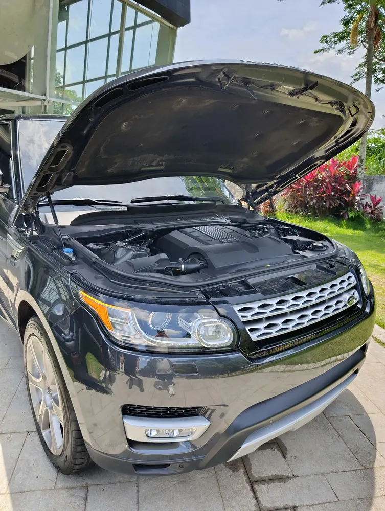 Vista 17 del vehículo: Range Rover