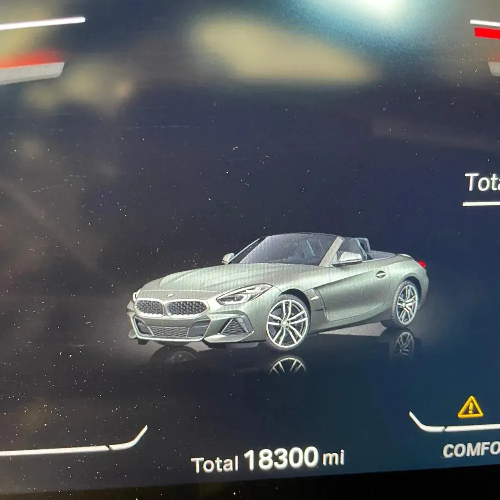 Vista 9 del vehículo: BMW Z4
