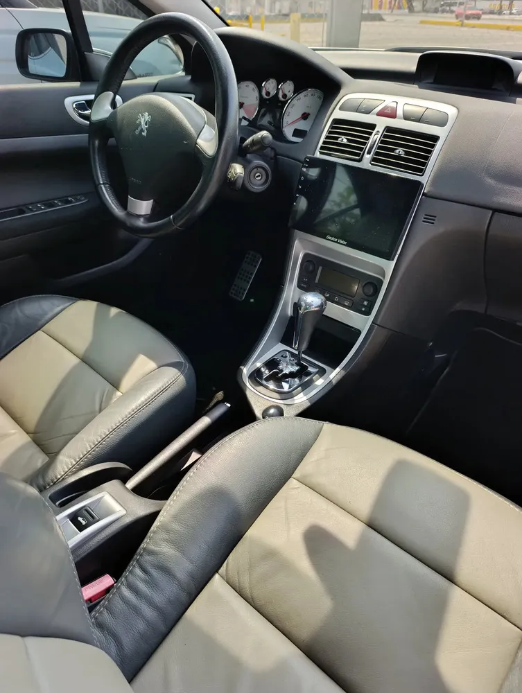 Vista 10 del vehículo: Peugeot 307
