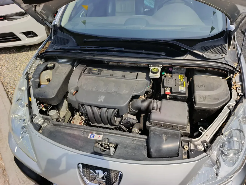 Vista 13 del vehículo: Peugeot 307