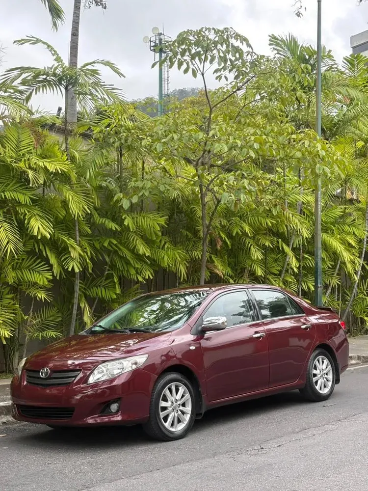 Vista 14 del vehículo: Toyota Corolla