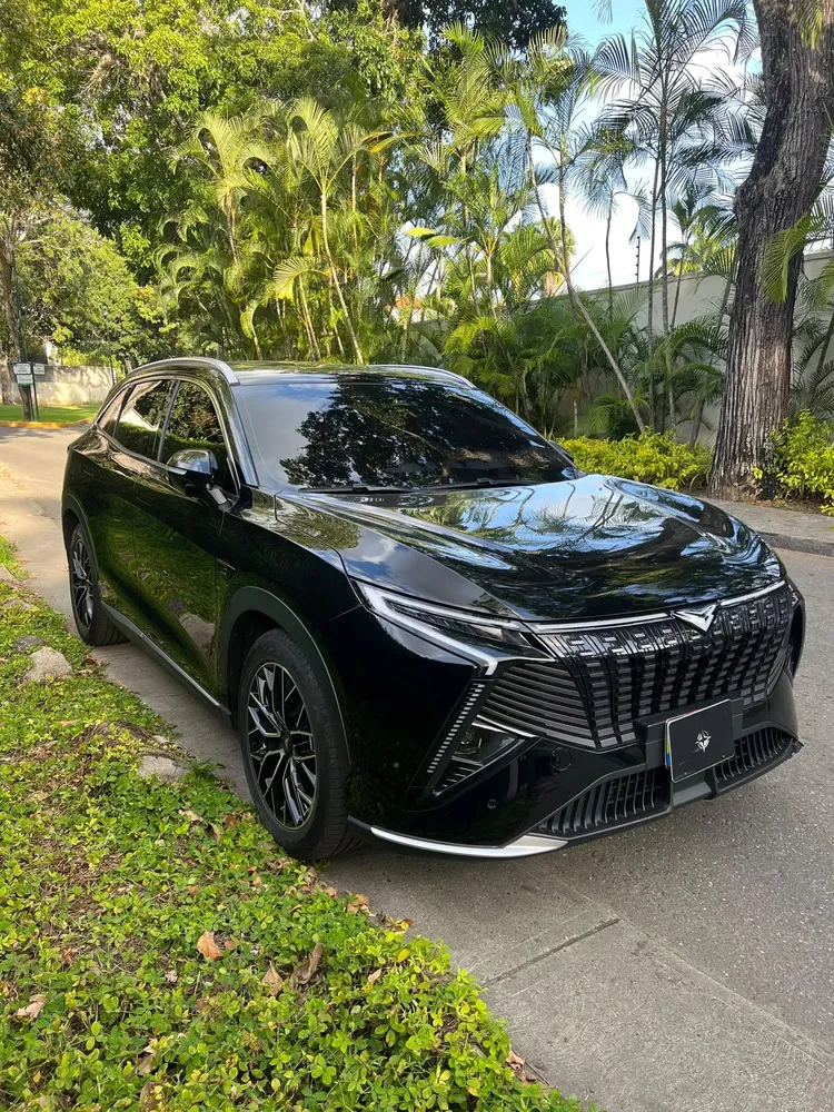 Vista 13 del vehículo: Chery Kaiyi