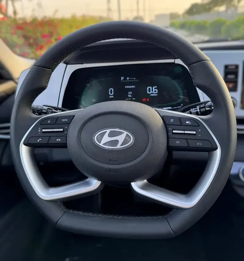 Vista 12 del vehículo: Hyundai Elantra
