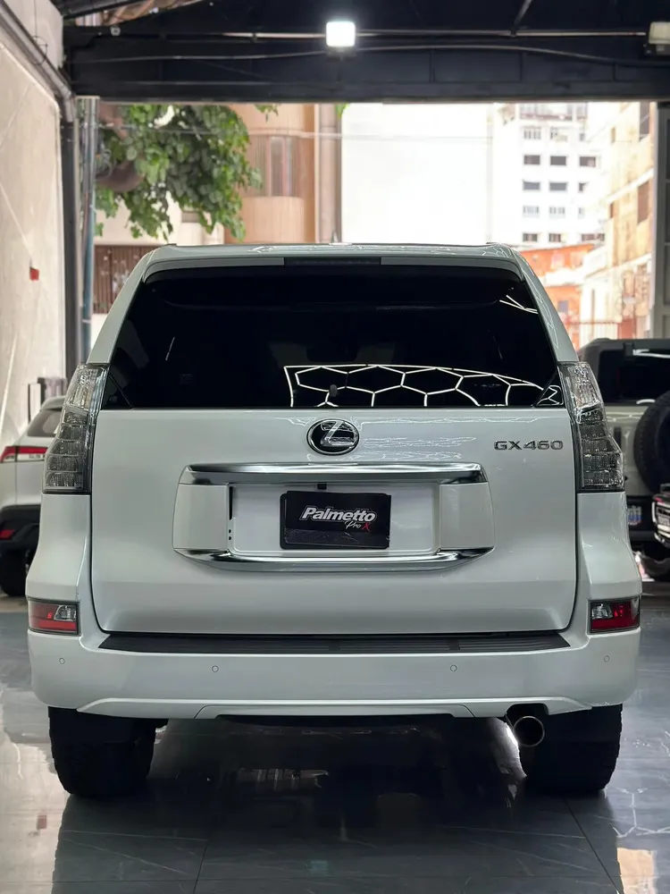 Vista 16 del vehículo: Lexus Gx