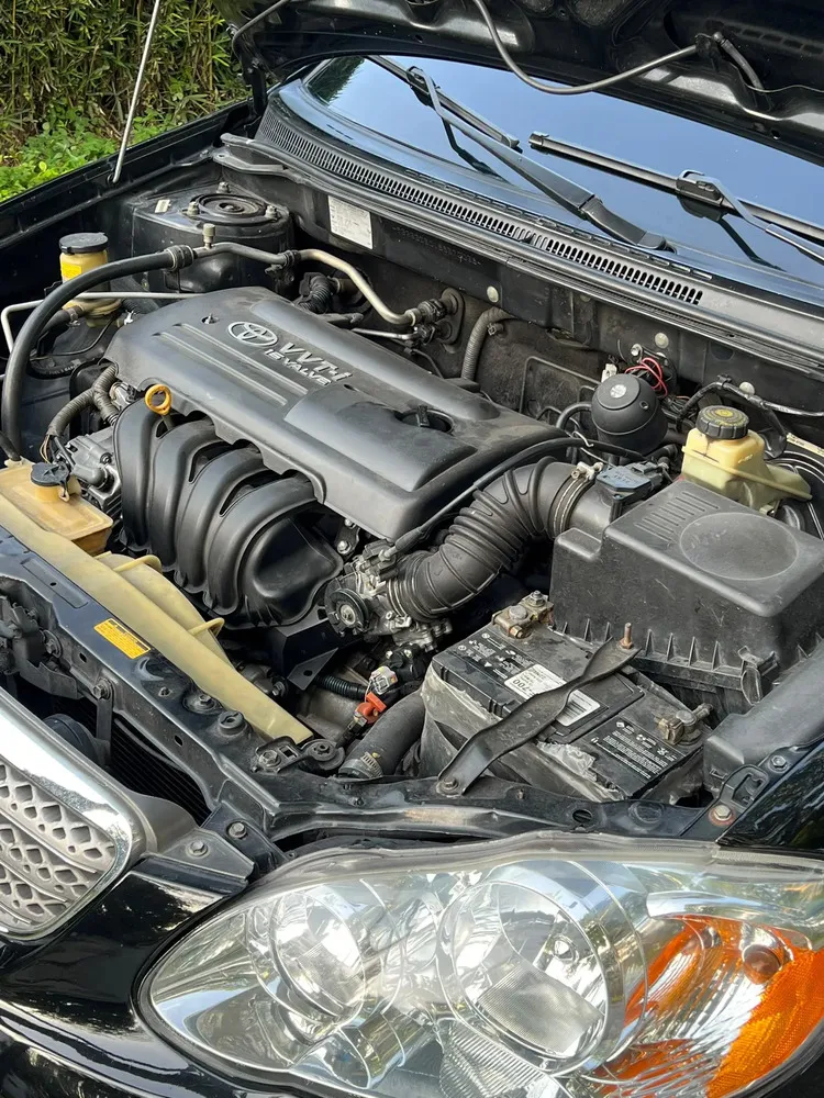 Vista 18 del vehículo: Toyota Corolla