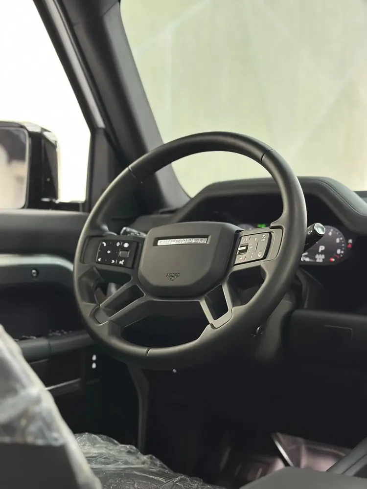 Vista 9 del vehículo: Land Rover