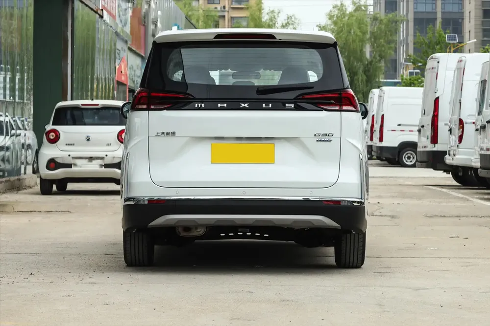 Vista 6 del vehículo: Maxus G50