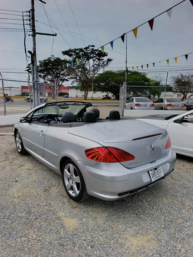 Vista 6 del vehículo: Peugeot 307