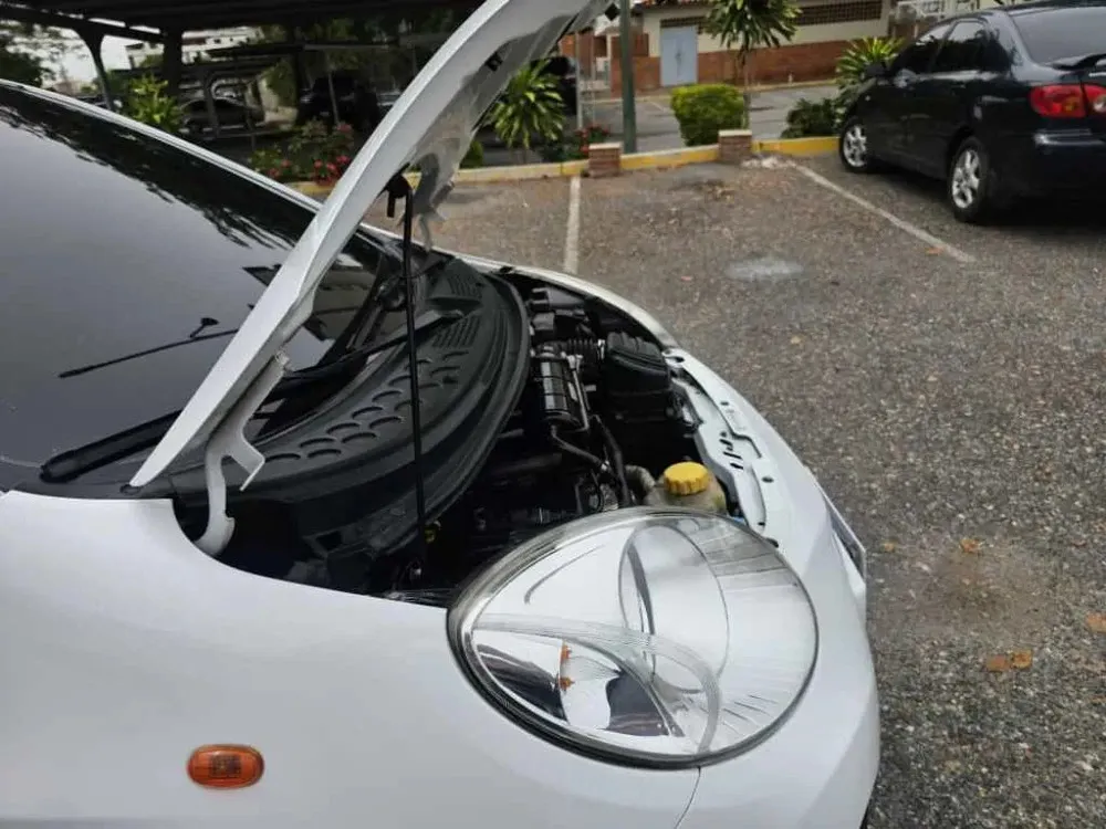 Vista 15 del vehículo: Chery Arauca