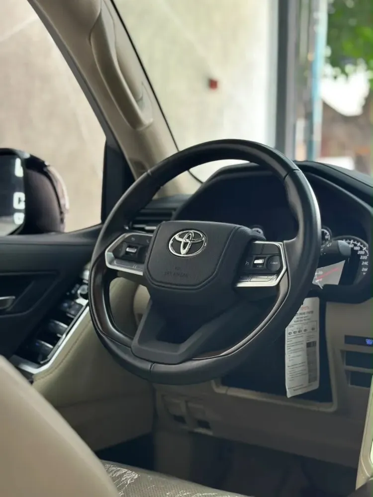 Vista 10 del vehículo: Toyota Lc300
