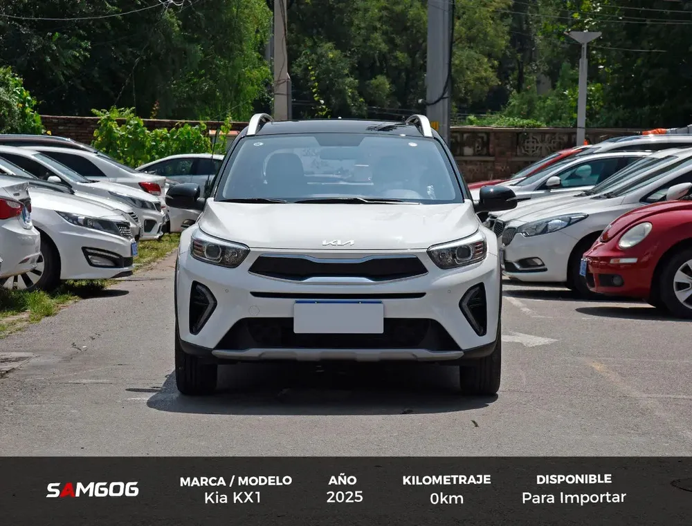 Vista 2 del vehículo: Kia KX1